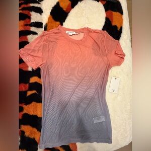Gradient Pink and Gray Women's good American mesh top